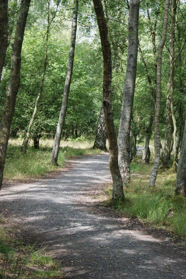 Апартаменты Carvetii - Kings House - 20Mins To Edinburgh Инверкитинг Экстерьер фото